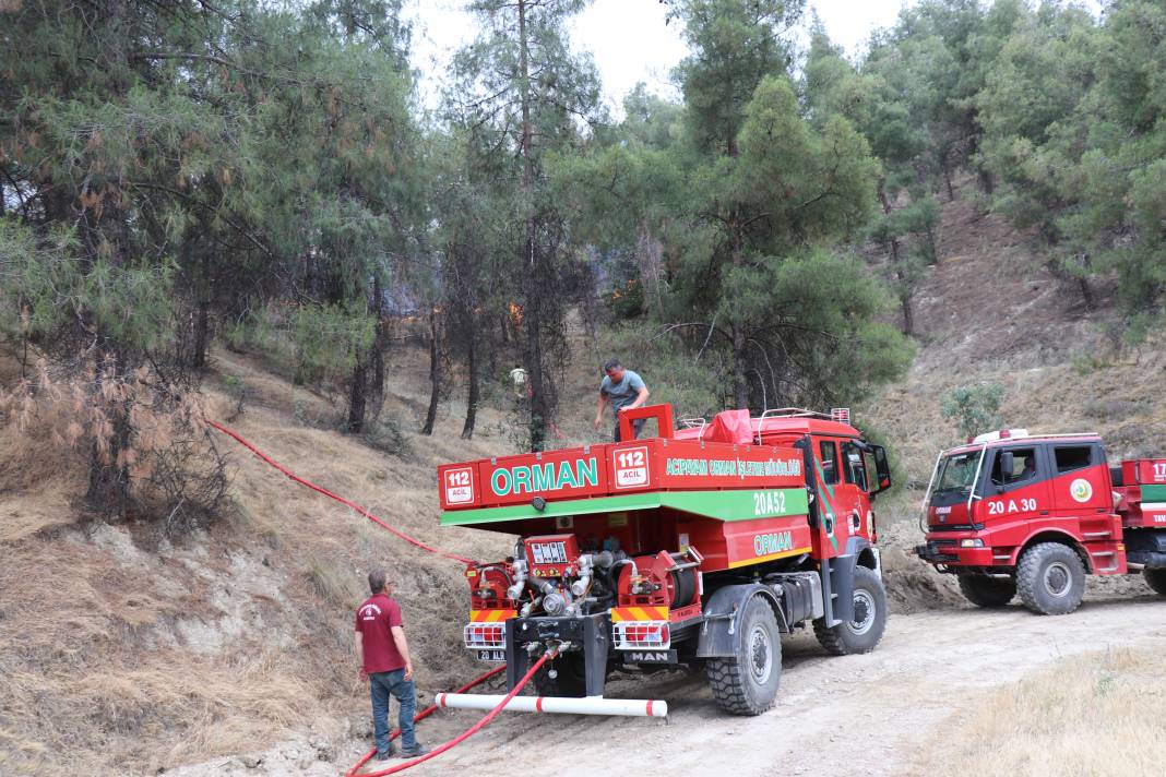 Pamukkale orman yangını! Hem havadan hem de karadan müdahale ediliyor 3